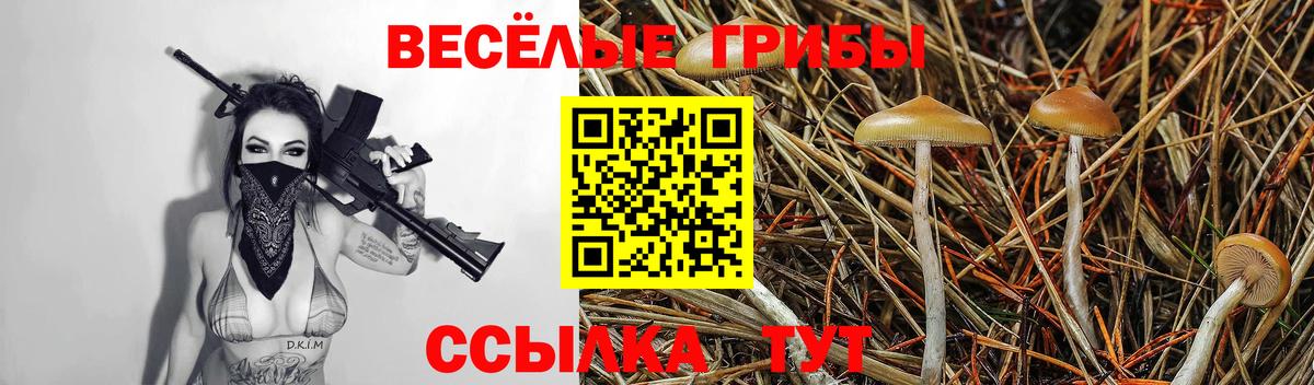 Нижний Тагил  Псилоцибиновые грибы мицелий  Вход с VPN 